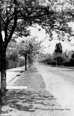 Colquhoun Street
Looking north up Colquhoun Street from above Argyle Street when the cherry blossom trees were in bloom. This 20th century image was published by Macneur and Bryden Ltd. of East Princes Street, publishers of the Helensburgh and Gareloch Times. Image date unknown.
