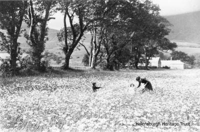 Fruin flowers
Photograph of his wife, Christina Graham from Rhu, and children Graham and Mabel picking flowers in Glen Fruin, taken c.1910 by keen amateur photographer Robert Thorburn, a Helensburgh grocery store manager.
