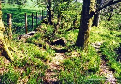 Boundary stone
One of Helensburgh's boundary stones, this one in Garrawy Glen above Kirkmichael. Photo by Kenneth Crawford.
