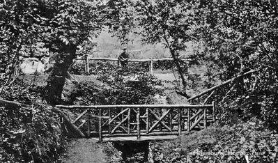 Park bridge
A rustic bridge in Helensburgh's Hermitage Park. Image circa 1915.

