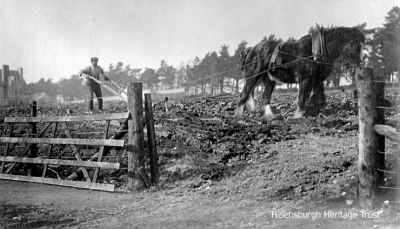 Burgh ploughing
This image of ploughing the then field to the east of the Charles Rennie Mackintosh mansion Hill House in Upper Colquhoun Street, Helensburgh, was kindly supplied by Frank Donald. It was taken around 1910 by his grandfather who lived round the corner at the top of Sinclair Street.
