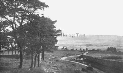 The Old Luss Road
The old road leading from Helensburgh over the Blackhill to Luss and Loch Lomond. This lithographic duotone view was produced in 1923 for inclusion in Walter Hutchinson's 'Beautiful Britain' series of topographical studies of the  British Isles.
