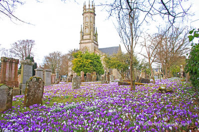 Rhu Parish Church
Snowdrops and crocuses in the churchyard of Rhu Parish Church in March 2010. Image taken and supplied by the Rev David Clark, former minister of what is now Helensburgh Parish Church.
