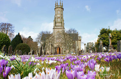 Rhu Parish Church
Snowdrops and crocuses in the churchyard of Rhu Parish Church in March 2010. Image taken and supplied by the Rev David Clark, former minister of what is now Helensburgh Parish Church.
