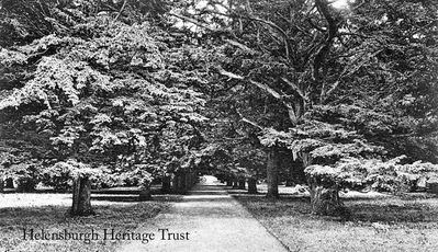 Yew Tree Avenue
Yew Tree Avenue in Rosneath, circa 1910.
