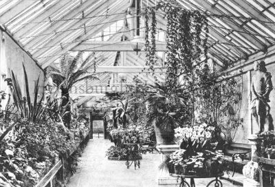 Shandon Hydro Conservatory
The Conservatory at Shandon Hydropathic Hotel. Originally West Shandon, this magnificent building was the home of Robert Napier, the greatest figure in Clyde shipbuilding and marine engineering in the mid-19th century. During World War One the Hydro became a hospital, and in World War Two it was used by the army. In 1951 it became a hotel again, but in 1957 it was closed and demolished. From the image collection of the late Nan Moir, of Cove.
