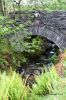 Filename=Rams-head-bridge-w.jpg
Filesize=552KiB
Dimensions=466x700
Date added=Jun 27, 2012 Rams-head-bridge-w.jpg