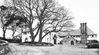 Filename=Rosneath-Ferry-Inn3995.jpg
Filesize=162KiB
Dimensions=740x410
Date added=May 28, 2008 Rosneath-Ferry-Inn3995.jpg